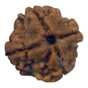 Shrichand Pure Saptmrittika (7 Sacred Soils)