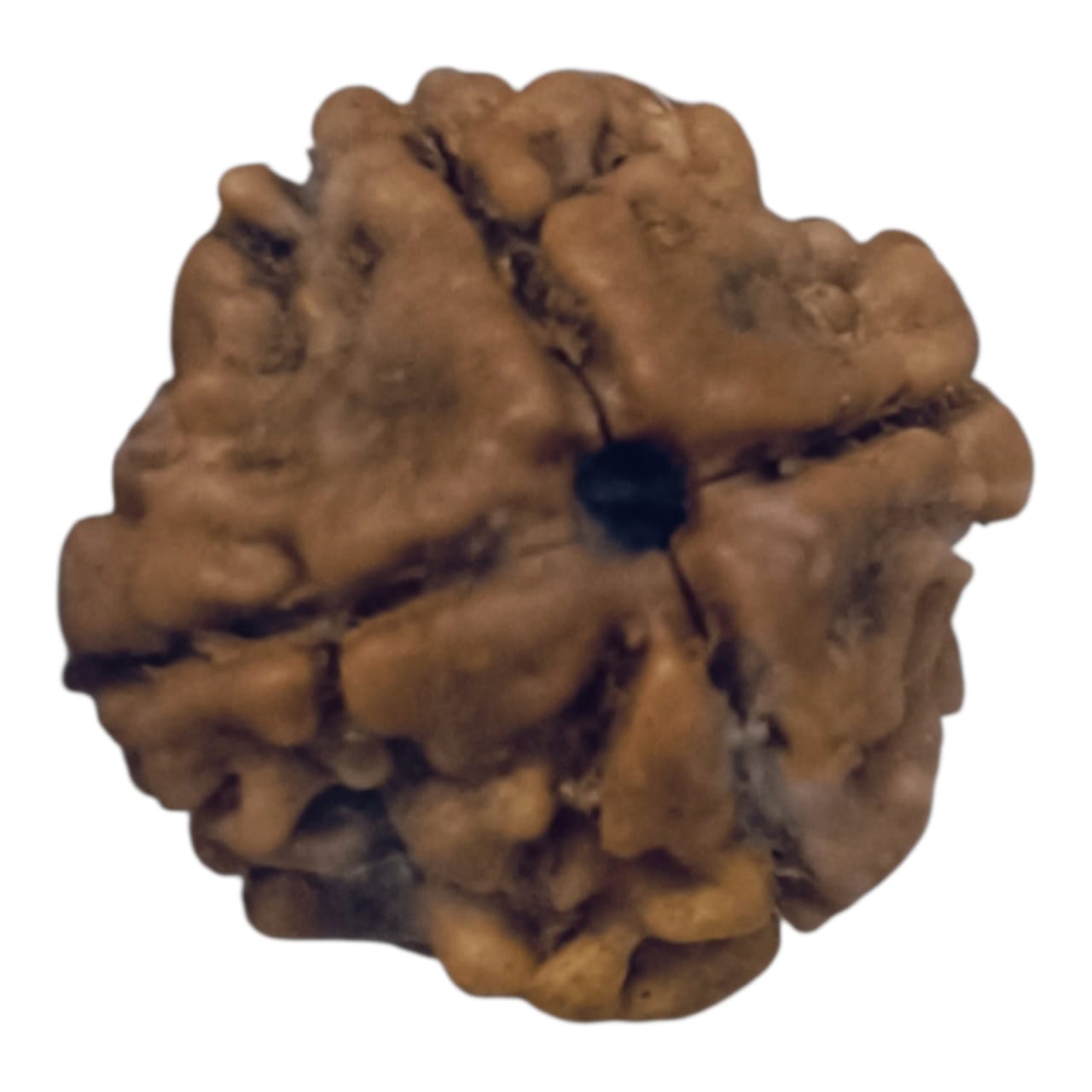 Shrichand Pure Saptmrittika (7 Sacred Soils)